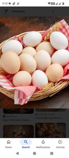 eggs
