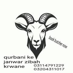 butcher  book now