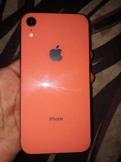 iPhone XR