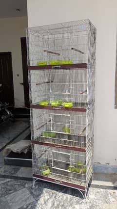birds,hens cage