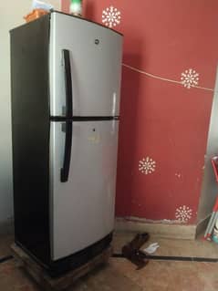 PELL COMPANY FRIDGE | UNTOUCH GENIUNE CONDUTION