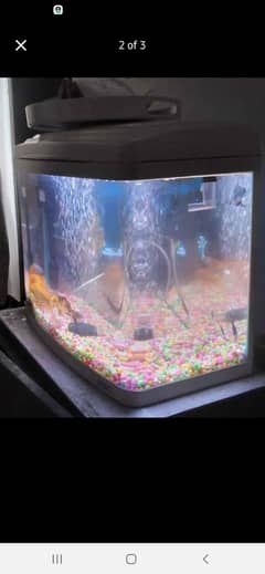 fish / aquarium /imported / fish tank