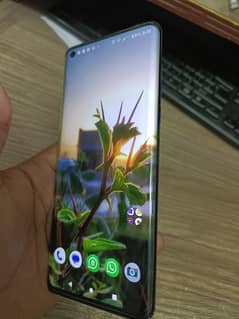 Motorola