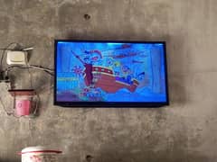 55inch