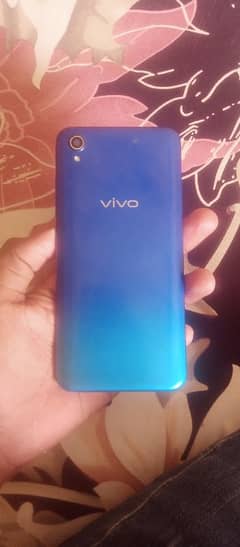 vivo