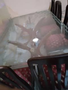 Daining table with chairs