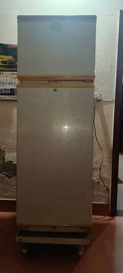 WAVES REFRIGERATOR