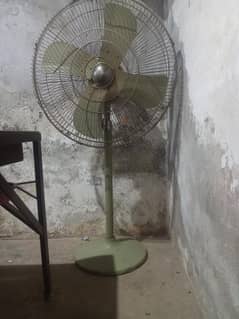 fan
