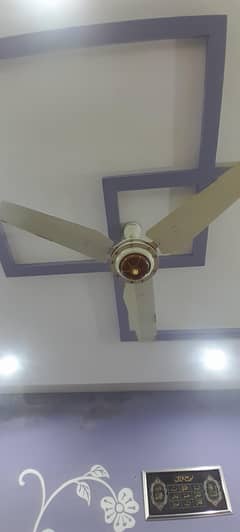 Royal fans for sale