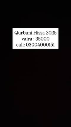 Qurbani Hissa Available for vaira (bull)