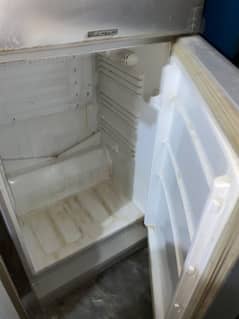 Pel Jambo size