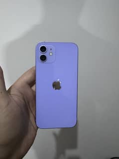 iPhone 12 PTA Approved