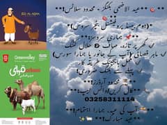 butcher /قصائی available