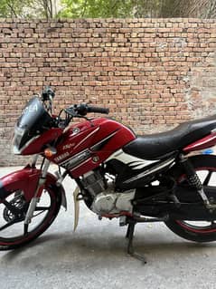 YBR125