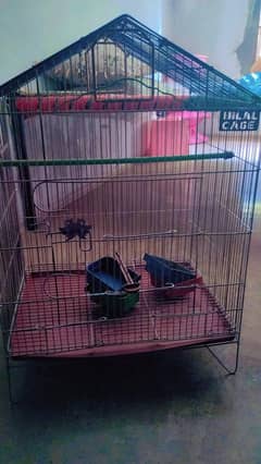 A beautiful cage for parrots