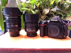 Nikon D750 24-120 & Sigma 85mm f1.8