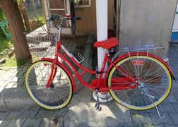 Elegant Ladies Cycle