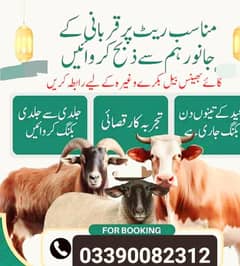 Qasai