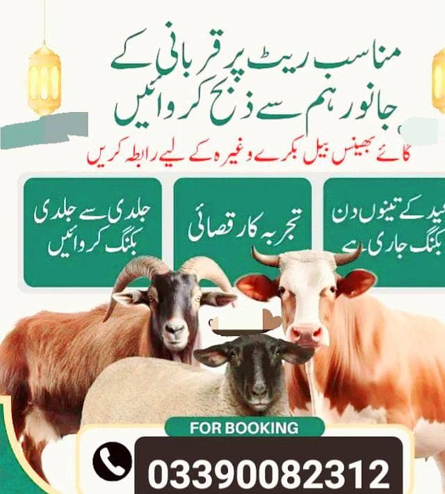 Qasai 0