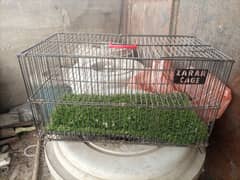 traveling cage
