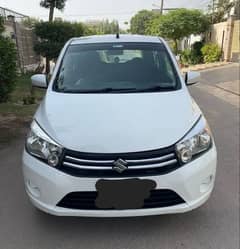 Cultus 2020 vxl