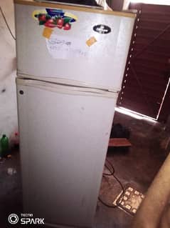 dollar fridge medium size