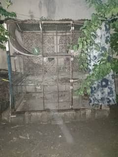 Net with Hens