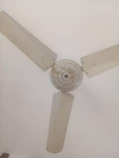 selling fan