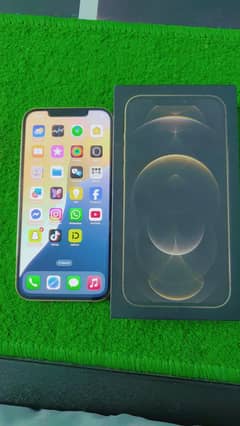 apple iphone 12 pro max