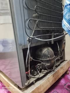 refrigerator