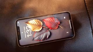 IPHONE  11 JV