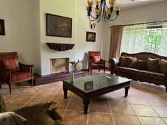 Beautiful With Swimming Pool House For Rent