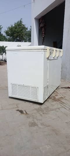 haier