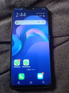 vivo
