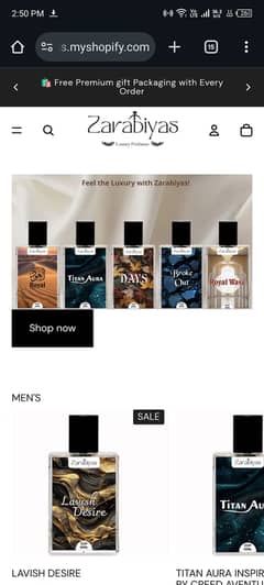 Expert Shopify store and website developer
