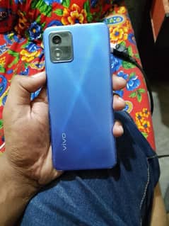 vivo