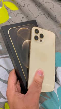 12 pro max no pta