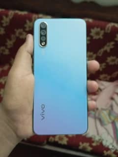 Vivo