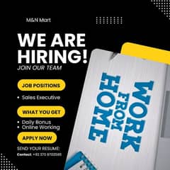Online Work Sales Executive