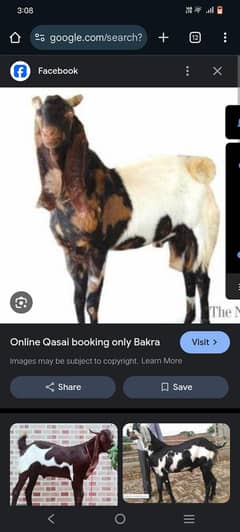 qasai