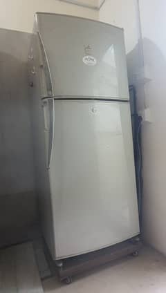 Dawlence Signature Refrigerator