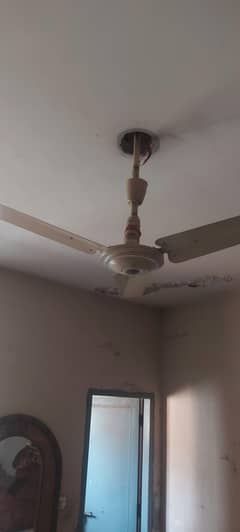 Selling Fan 99% Copper