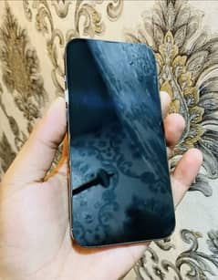iPhone13pro