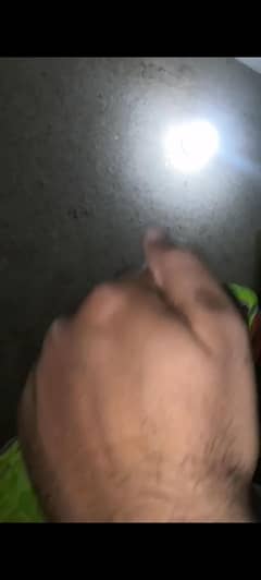 Raw male parrot hand tame