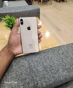 iPhone X's Maxx
