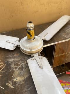 Ceiling fan