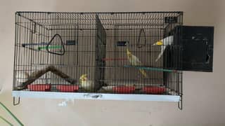 5 cocktails with cage