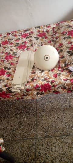 2 celling fan and 2 pedistal fan