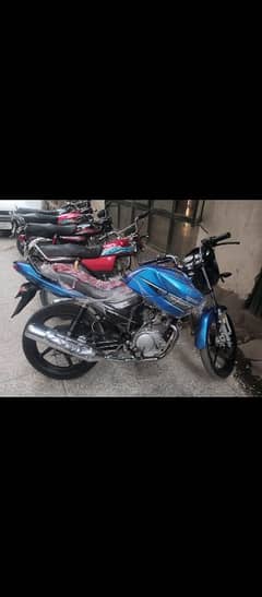 yamaha