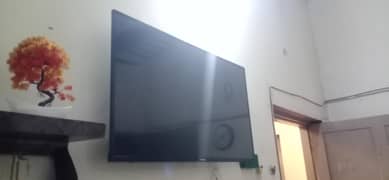 EcoStar LED TV 43"